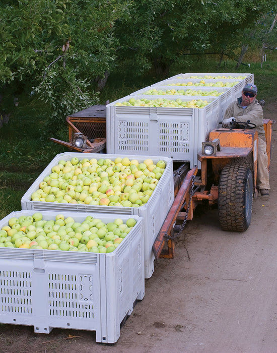 MacroBin Containers - The Best in Harvesting Storage