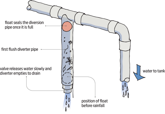 Why are First Flush Diverters Important?