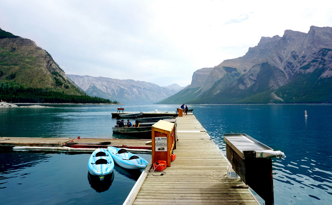 Building Your Dock: Wood or Aluminum?