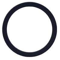 Viton Gasket for 4" Bulkhead Fitting | 62786